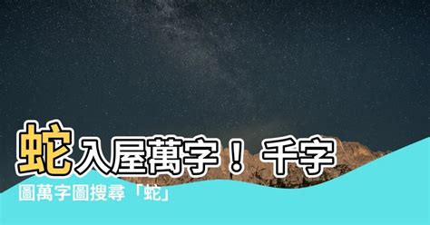 蛇入屋万字|万字数据与统计